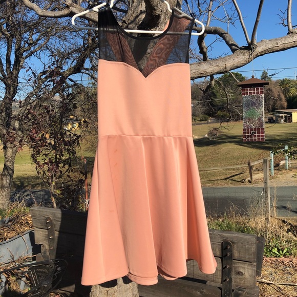blush dress macys